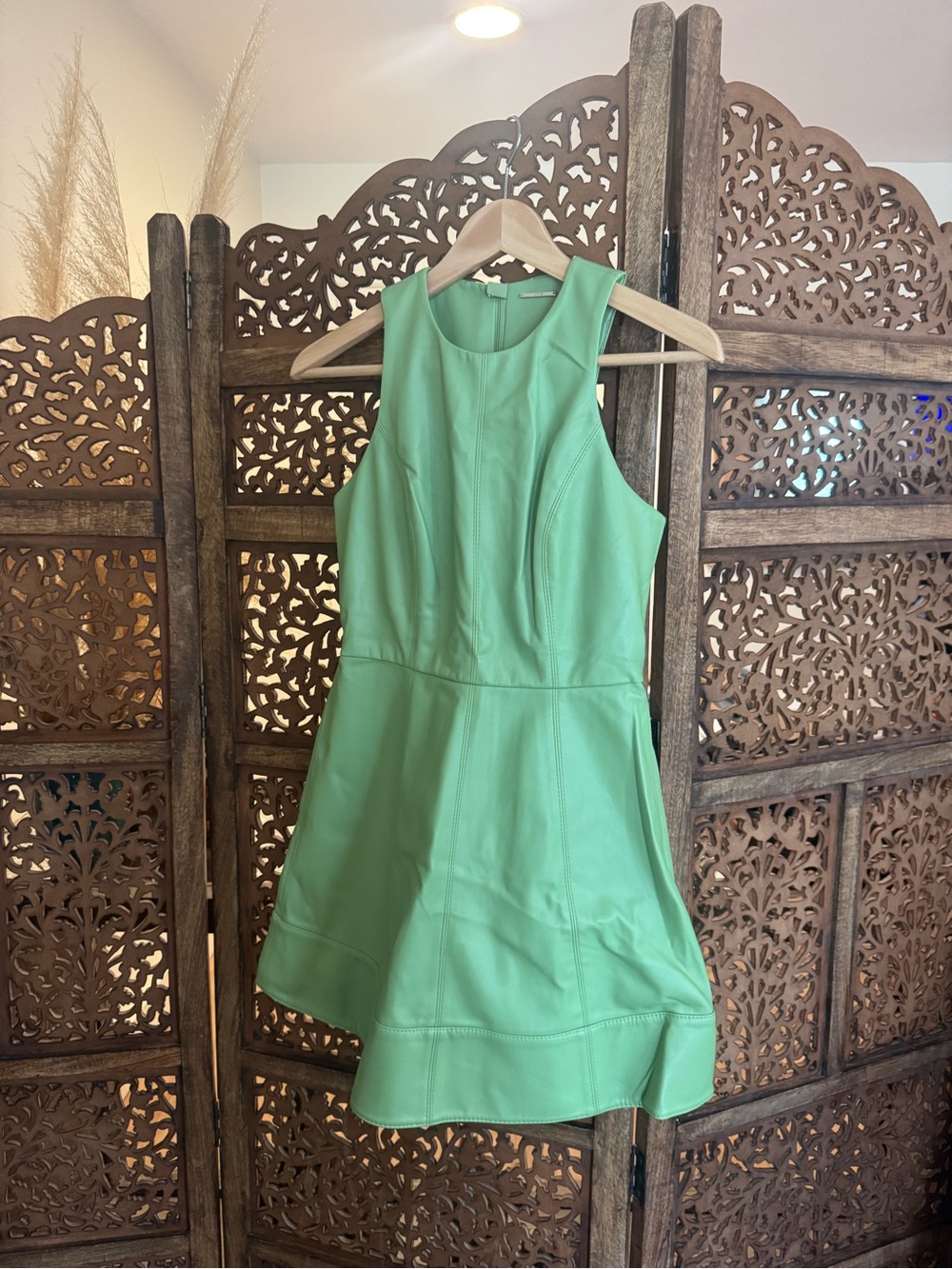 ALEXIS Lorenza Mini Dress - Picture 7 of 7